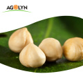 AGOLYN Organic Shell Raw Hazelnut Kernels